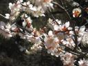 tn_gallery_1_4_125138.jpg