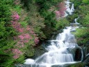tn_gallery_1_4_104444.jpg