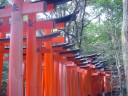 tn_gallery_1_4_109993.jpg
