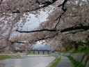 tn_gallery_1_4_185935.jpg
